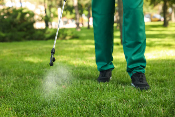 Best Ant Control Services  in West Orange, TX