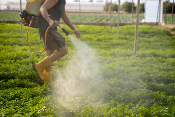 Best Wildlife Control Services  in West Orange, TX