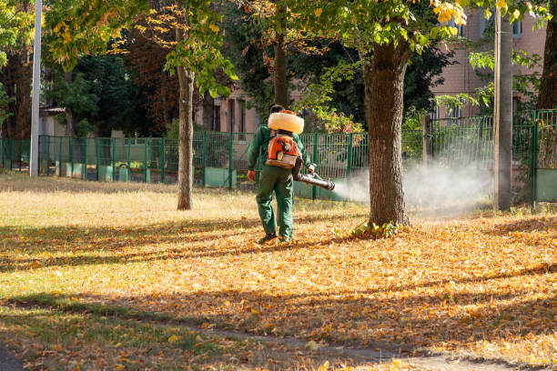 Best Commercial Pest Control Services  in West Orange, TX