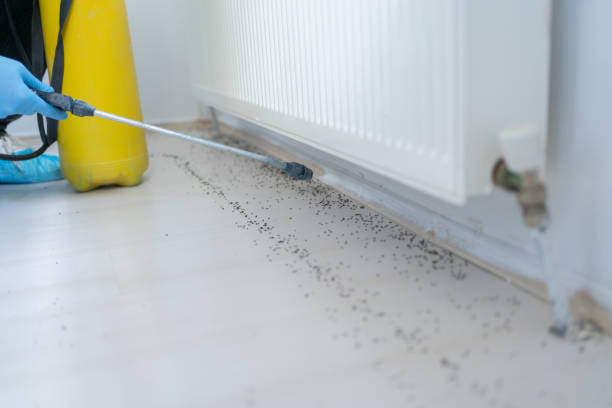 Best Best Pest Control Companies  in West Orange, TX